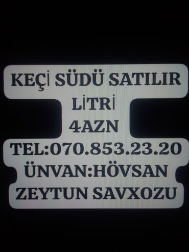 Şirniyyat məhsulları: KEÇİ SÜDÜ SATILIR TƏMİZDİR QATQI YOXDUR LİTRİ 4 AZN ÜNVAN HÖVSAN