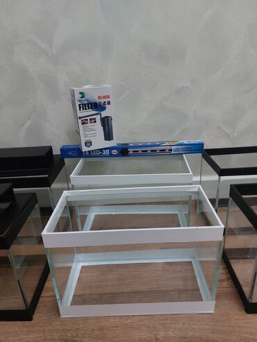 Akvariumlar: Ölçü 30×20×15

Ev və ofis üçün estetik, baxımı asan mini akvaryum — 8
