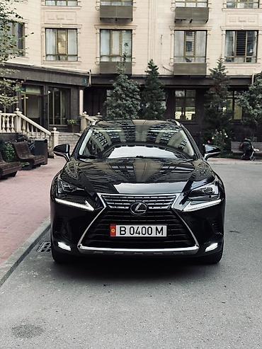 200: Lexus NX: 2020 г., Гибрид, Кроссовер — 5