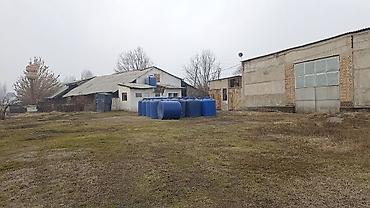 2667: Бизнес-объект в Сокулукском районе — готовый комплекс! Продаётся — 7