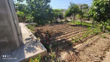 Həyət evləri və villaların satışı: 7 otaqlı, 250 kv. m — 2