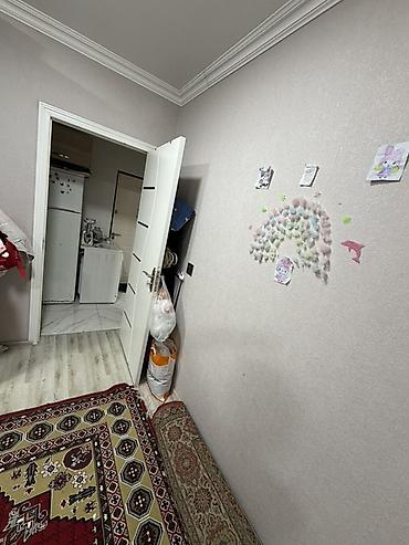 kiriditle ev: 2 otaqlı, Yeni tikili, 55 kv. m — 9