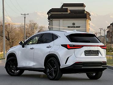 спойлер нехсия: Lexus NX: 2023 г., 2.5 л, Автомат, Кроссовер — 4