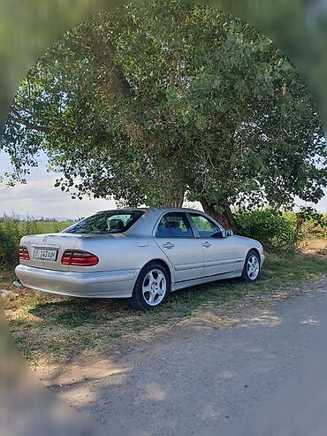 210 mers: Mercedes-Benz E-Class: 2000 г., 4.3 л, Автомат, Бензин, Седан — 3