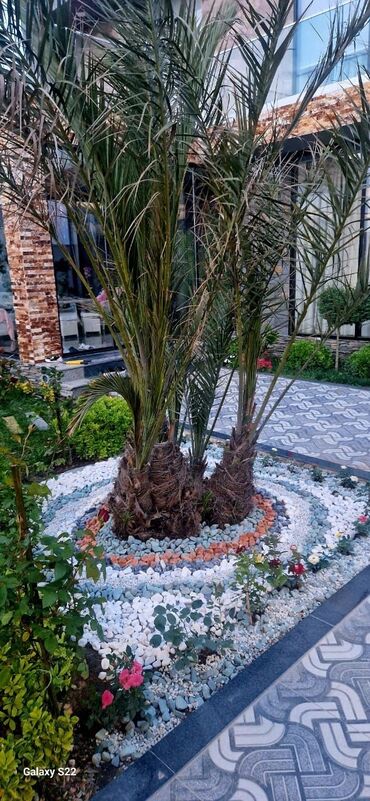 Dekorativ daşlar: Ağ daşlar.Dekorativ Ağ daşlar Təbii daşlardır.kiçik orta və böyük — 17