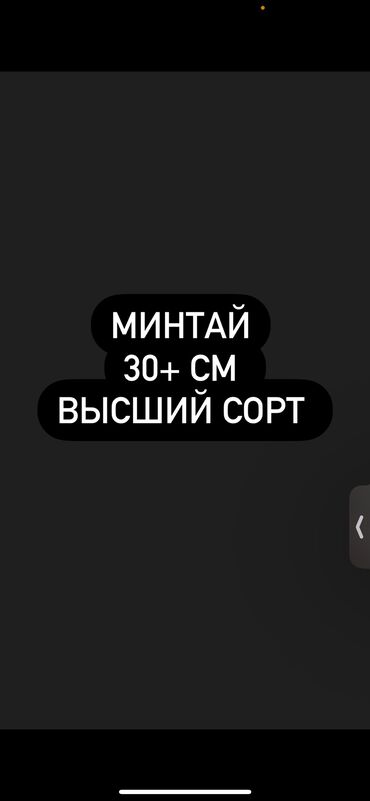 золотая рыба: Минтай оптом
30+ см
Хайтес
169сом за кг
Упаковка 24кг