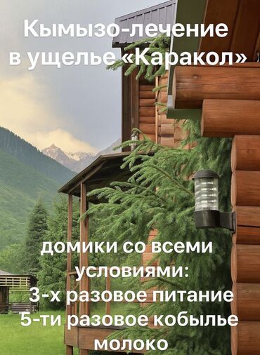 Иссык-Куль 2025: Коттедж, Каракол, Кумысолечение
