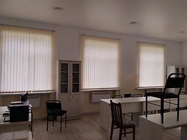 Жалюзи и рольшторы: Плиссе|Жалюзи | Ролл шторы | День-ночь | Плиссе|Вертикальные жалюзи Мы — 19