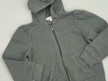 sweterek z krótkim rękawem zara: Sweatshirt, H&M, 3-4 years, 98-104 cm, condition - Fair