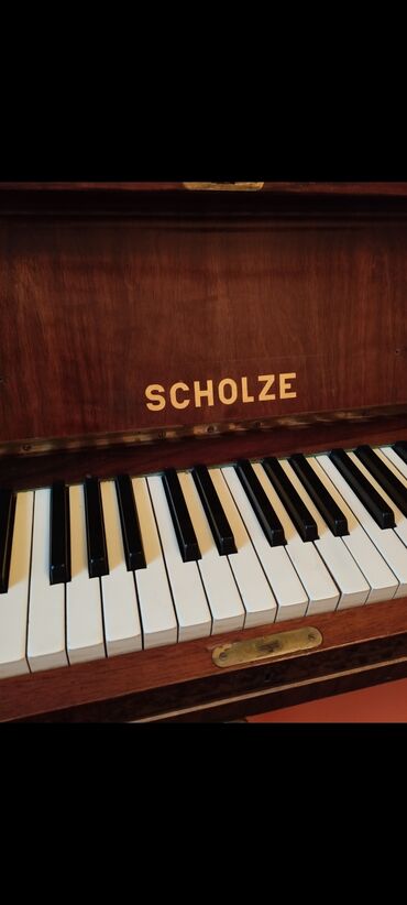 продаю бу инструмент: Продаю пианино SCHOLZE фирмы PETROF, цена 1000 дол.
Торг уместен