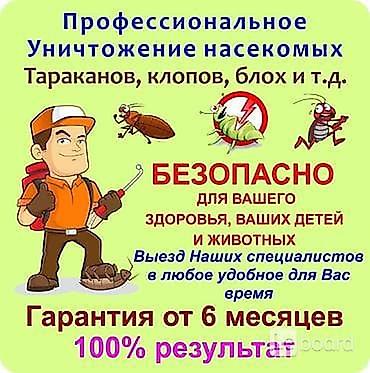 Профессиональная дезинсекция помещений. - Уничтожение тараканов