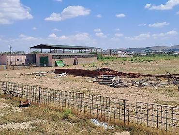 fermaya: Haciqabulda ferma satılır.15 hektar.350kv.tikili.kənd tədərrüfatı — 10