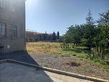şamaxı ev satışı: Novxanı, 440 kv. m, 6 otaqlı, Hovuzsuz, İnternet, Telefon, Qaz — 5