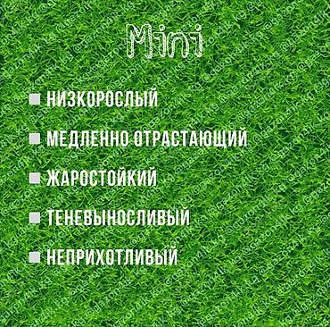 Газон: Семена европейского газона DLF (Дания) по оптовым ценам! ✅В наличии — 10