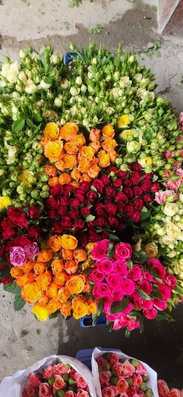мияги в бишкеке: Требуется флорист с опытом работы в ночную и дневную смену