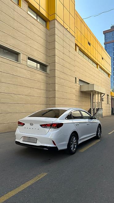 camey 55: Hyundai Sonata: 2022 г., 2 л, Автомат, Газ, Седан — 6