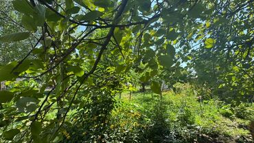 Продажа домов: Дом, 150 м², 5 комнат, Собственник, Косметический ремонт — 19