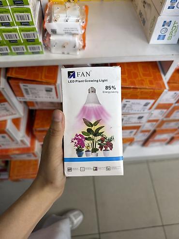 орхид: Светодиодная лампа для выращивания растений FAN (LED Plant Growing — 1