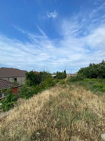 buzovnada torpaq: 20 sot, Tikinti, Mülkiyyətçi, Kupça (Çıxarış) — 5
