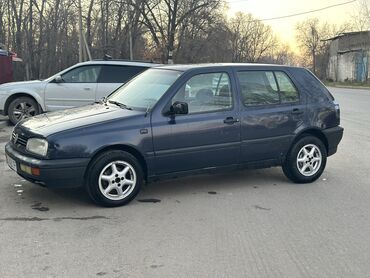 Volkswagen: Volkswagen Golf: 1993 г., 1.6 л, Механика, Бензин