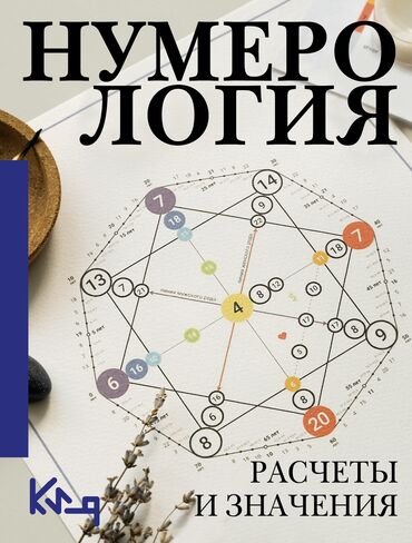 курсы python: Нумерология,обучения
основы, очень интересно
