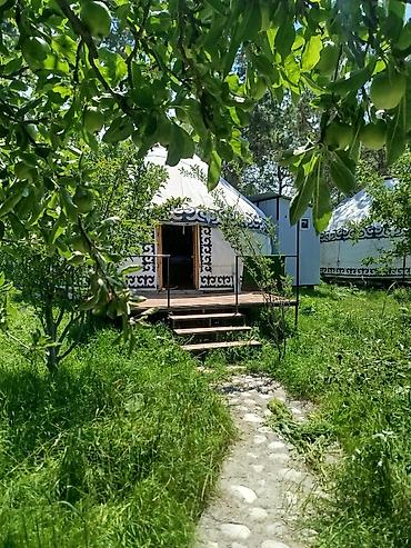 блок контейнер: Юрточный кемпинг на Иссык-Куле, Тон, 12 мест, Питание: За отдельную плату — 4