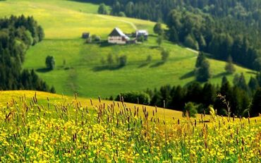 земельные участки таласе: Тех паспорт