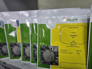 Овощи: Семена овощей: Помидоры, Огурцы, Лук, Самовывоз, Бесплатная доставка, Платная доставка — 19