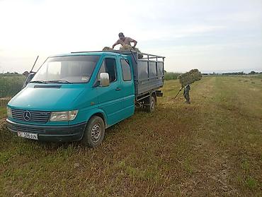 Прицепы и полуприцепы: Прицеп одноосный для легкого коммерческого автомобиля - Конструкция — 5