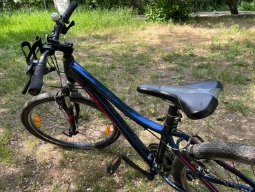 Горные велосипеды: 1) Велосипед детский giant Liv Adore размер колес 16 корзина в — 1