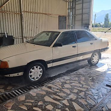 аули 80: Audi 100: 1989 г., Седан — 1