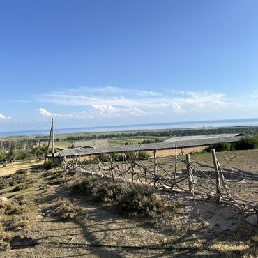 Сельхоз предприятия: Продаю Кошара, 40 соток, Действующий, С оборудованием, Отопление, Холодная вода, Электричество at lalafo.kg — 7 Сельхоз предприятия: Продаю Кошара, 40 соток, Действующий, С оборудованием, Отопление, Холодная вода, Электричество — 7