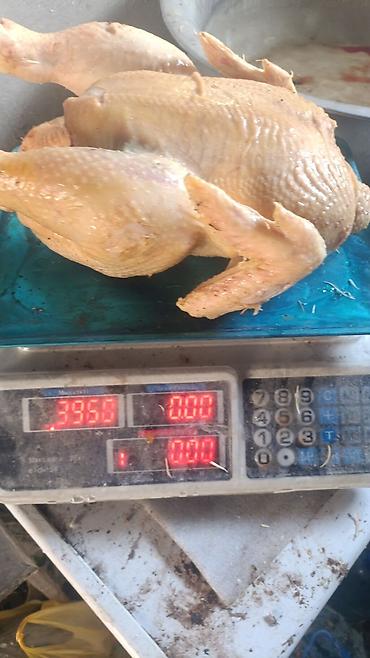 кролики мясо: Домашняя птица, режим на заказ, по предварительному заказу, халал — 2