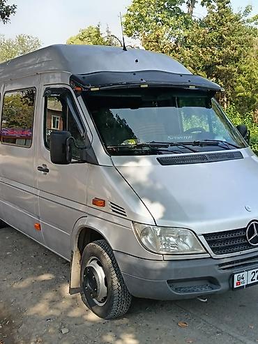 Mercedes-Benz: Mercedes-Benz Спринтер: 2004 г., 2.9 л, Механика, Дизель, Бус — 1