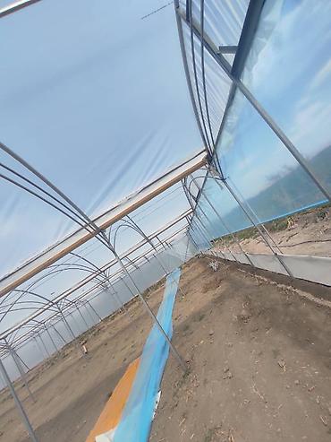 Теплицы: Тепличный комплекс каркасно-пленочного типа - Пролетная теплица с — 3