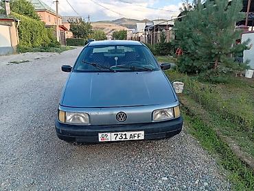 pass: Volkswagen Passat: 1990 г., Седан — 5
