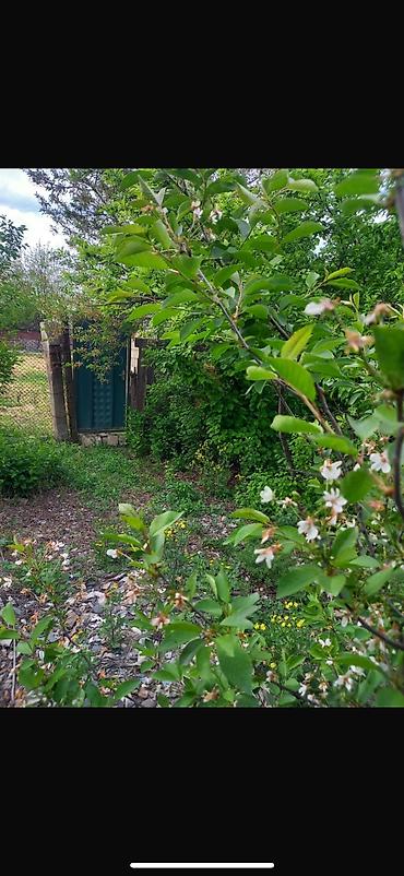 Torpaq sahələrinin satışı: 8 sot, Tikinti, Mülkiyyətçi, Kupça (Çıxarış) — 3