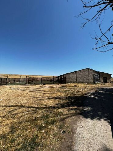 тоголок молдо фрунзе: Дом, 400 м², 2 комнаты, Агентство недвижимости, Косметический ремонт