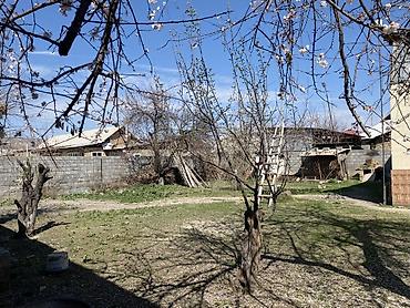 Недвижимость: Сатылат: Жер үй (Манас шаары, Чынгыз Айтматов көчөсү 60) Манас — 5