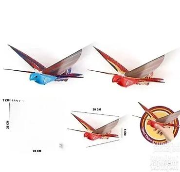 bq patike: Ptica letacica. ptica letacica model 50 - 00 - 00 - 00 go go bird — 1