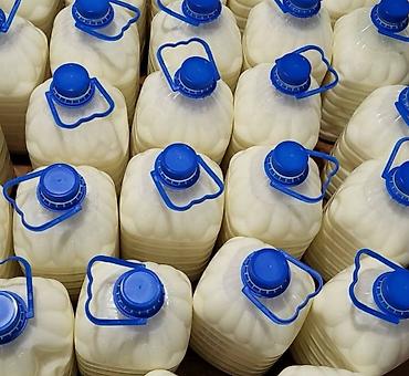 Молочные продукты и яйца: Домашнее молоко, сметана, сары май, кымыз (Бишкек) Описание — 5