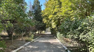 Продажа квартир: 3 комнаты, 69 м², 2 этаж — 17