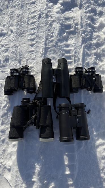 Бинокли: Бинокль HALINA 8×30 + бинокль SLOKEY 10×42 - HALINA 8×30 — 9