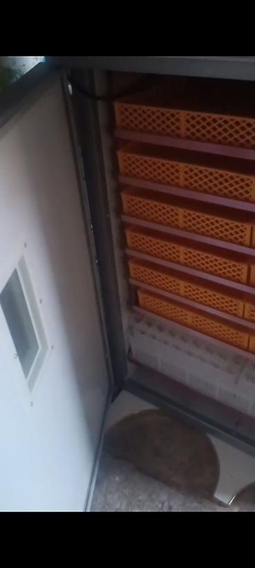 İnkubatorlar: 1100 yumurta, Fabrik istehsalı — 2
