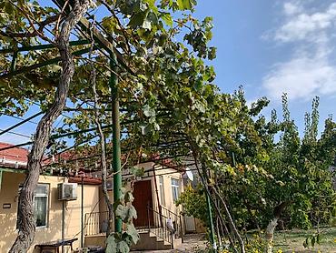 ağdaş emlak: SAHIBINDEN 🏡 ALBALILIQDA MÖHTƏŞƏM BAĞ EVİ – HƏM YAŞAYIŞ, HƏM DƏ — 2