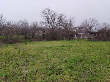 sabunçu rayonu: 30 sot, Tikinti, Mülkiyyətçi, Kupça (Çıxarış) — 9