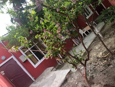 Bağ evlərinin kirayəsi: Həzi Aslanov qəs., 100 kv. m, 3 otaqlı — 11