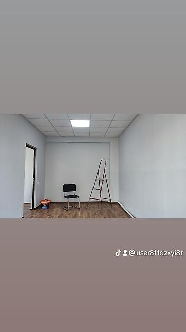 Покраска: Покраска стен, Покраска потолков, Покраска окон, На масляной основе, На водной основе, Больше 6 лет опыта — 8