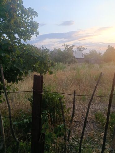 Продажа участков: 10 соток, Красная книга — 6