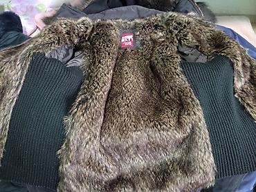 Пуховики и зимние куртки: Пуховик, Короткая модель, С мехом, XL — 8